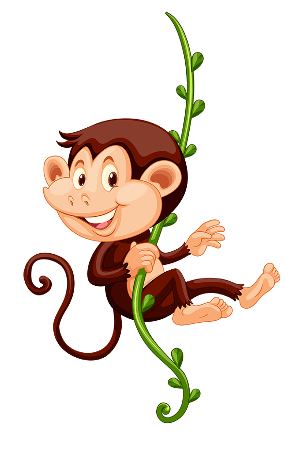 Monkey