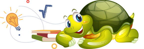 Tortoise